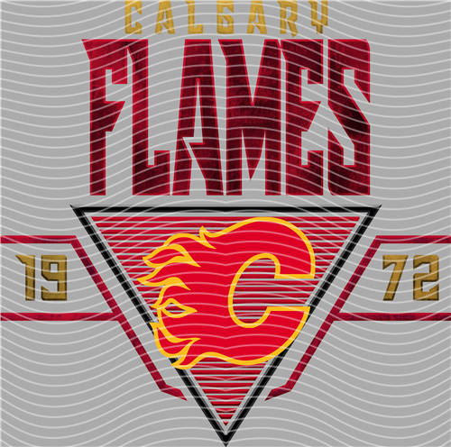 NBA and Team-QD 1529